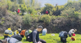 军营村体验采茶制茶，厦门公司团建与亲子研学的理想之选