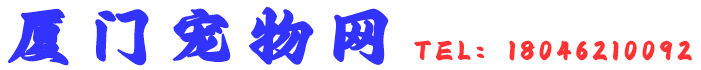 厦门宠物交流网